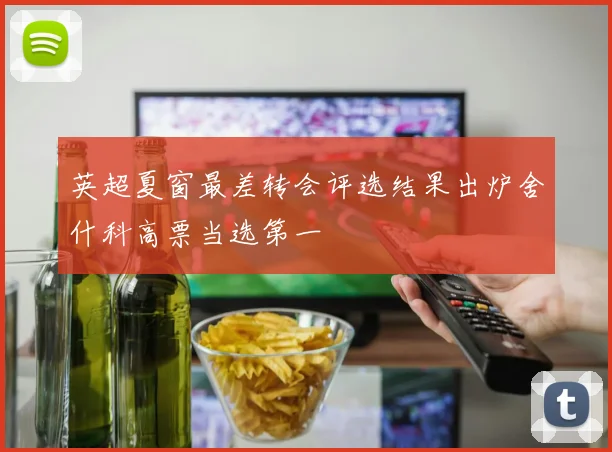 英超夏窗最差转会评选结果出炉舍什科高票当选第一