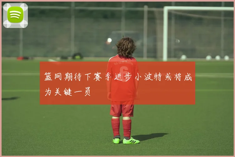 篮网期待下赛季进步小波特或将成为关键一员