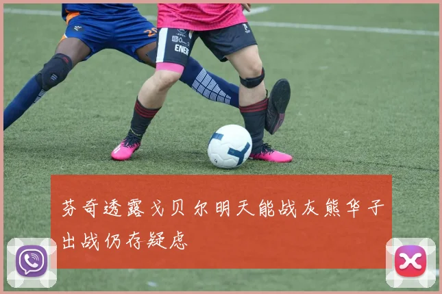 芬奇透露戈贝尔明天能战灰熊华子出战仍存疑虑
